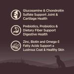 Wellness Core Grain-Free Large Breed Dog Food