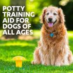 Pee Post Outdoor Potty Training Aid Stake
