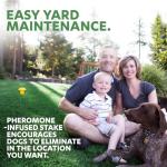 Pee Post Outdoor Potty Training Aid Stake