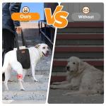Adjustable Dog Lift Harness for Large Dogs