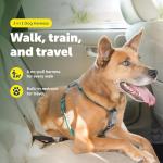 PetSafe No Pull Dog Harness - Medium Teal