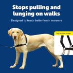 PetSafe Easy Walk No Pull Dog Harness - Large
