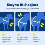 PetSafe Easy Walk No Pull Dog Harness - Large