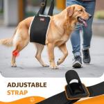 Adjustable Dog Lift Harness for Large Dogs