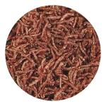 Hikari Bio-Pure Freeze Dried Blood Worms for Pets, 0.42-Ounce