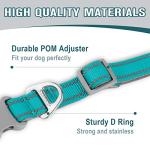 Dog Collar for Medium Small Large Dogs Reflective with Leash,Collar and Leash for Dogs,Soft Neoprene Padded 2 Pack(Blue,S)