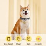 Pawaii Silent Silicone Dog ID Tag, Modifiable Pet Online Profile and Emergency Contacts, Scan QR for Instant Location Alerts, 1 Pack (Yellow)