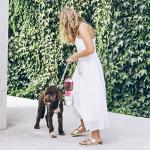 Cibaabo Dog Water Bottle with Food Container, Travel Puppy Water Bowl, Portable Pet Dispenser, Girl Dog Accessories Stuff Items Essentials Necessities for Yorkie Chihuahua Cat Walking and Hiking