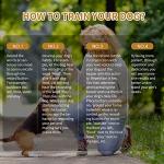 FRQNTKPA 8 Color Voice Recording Button, Dog Buttons for Communication Pet Training Buzzer, 30 Second Record & Playback, Funny Gift for Study Office Home - 8 Color Packs