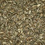 Kaytee Striped Sunflower Seeds For Blue Jays, Woodpeckers, Finches & Other Wild Birds, 5 Pounds