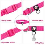 azuza Nylon Dog Collar and Leash Set, Strong & Durable Basic Style Leash and Collar with ID Tag Ring, Available in Multiple Lengths for Puppy and Small Dogs, Hot Pink,XS