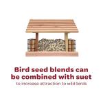 Kaytee Striped Sunflower Seeds For Blue Jays, Woodpeckers, Finches & Other Wild Birds, 5 Pounds