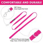azuza Nylon Dog Collar and Leash Set, Strong & Durable Basic Style Leash and Collar with ID Tag Ring, Available in Multiple Lengths for Puppy and Small Dogs, Hot Pink,XS