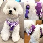 SuperBuddy Upgraded Soft Mesh Dog Harness, Super Breathable Lightweight Pet Harnesses for Puppy Dogs Outdoor Walking, Purple Dog Harness and Dog Leash Set Packing -Small