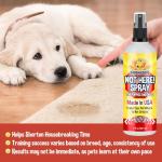 Not Here! Training Spray for Pet Behavior