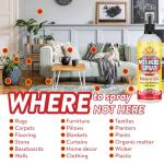 Not Here! Training Spray for Pet Behavior