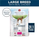 Purina One SmartBlend Natural Food for Large Dogs