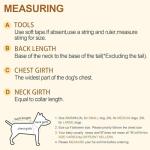 4 Pack Dog Pajamas for Small Pets – Plaid