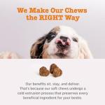 Zesty Paws Probiotics for Dogs - Pumpkin Soft Chews