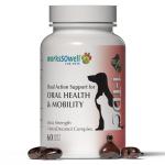 Natural Health Support for Dogs and Cats - 60 Soft Gels