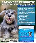 Dog Probiotics and Digestive Enzymes - Made in USA