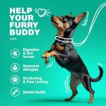 Probiotic Chews for Healthy Dogs - 180 Count