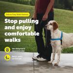 PetSafe Easy Walk No Pull Dog Harness – Medium