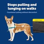 PetSafe Easy Walk No Pull Dog Harness – Medium