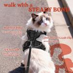 Rabbitgoo Adjustable Escape-Proof Cat Harness & Leash