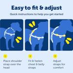 PetSafe Easy Walk No Pull Dog Harness – Medium