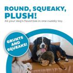 Outward Hound XL Large Hedgehog Dog Toy