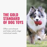 KONG Classic Natural Rubber Toy for Medium Dogs