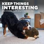 Outward Hound XL Large Hedgehog Dog Toy