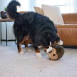 Outward Hound XL Large Hedgehog Dog Toy