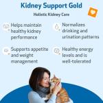 Pet Wellbeing Kidney Support Gold for Cats - Supports Normal Kidney Function & Detox, Healthy Hydration & Energy with Rehmannia & Dong Quai - NASC Certified & Vet-Formulated - 2 oz Liquid Formula