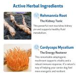 Pet Wellbeing Kidney Support Gold for Cats - Supports Normal Kidney Function & Detox, Healthy Hydration & Energy with Rehmannia & Dong Quai - NASC Certified & Vet-Formulated - 2 oz Liquid Formula