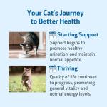 Pet Wellbeing Kidney Support Gold for Cats - Supports Normal Kidney Function & Detox, Healthy Hydration & Energy with Rehmannia & Dong Quai - NASC Certified & Vet-Formulated - 2 oz Liquid Formula