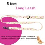 BOLDPET Dog Collar and Leash Set - Durable Polyester Material -Adjustable -Safe Metal Buckle-Cute Summer Dog Leash and Collar Set for Small, Medium and Large Dogs