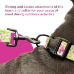 BOLDPET Dog Collar and Leash Set - Durable Polyester Material -Adjustable -Safe Metal Buckle-Cute Summer Dog Leash and Collar Set for Small, Medium and Large Dogs