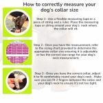 BOLDPET Dog Collar and Leash Set - Durable Polyester Material -Adjustable -Safe Metal Buckle-Cute Summer Dog Leash and Collar Set for Small, Medium and Large Dogs