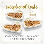 Purina Fancy Feast Cat Food with Sauce