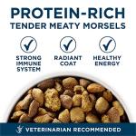 Purina ONE Plus Large Breed Adult Dog Food Dry Formula, Real Protein Rich Natural Chicken Flavor - 40 lb. Bag