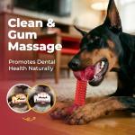 Durable Interactive Dog Toys for Aggressive Chewers