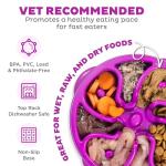 Outward Hound Fun Feeder Slow Feed Bowl, Small