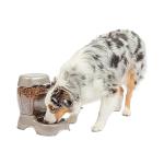 Petmate Pet Cafe Feeder for Dogs and Cats