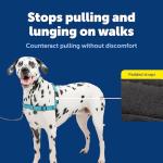PetSafe Easy Walk Deluxe No Pull Dog Harness