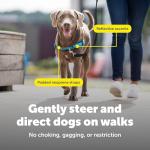 PetSafe Easy Walk Deluxe No Pull Dog Harness