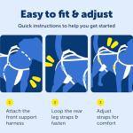 PetSafe CareLift Support Harness for Older Dogs