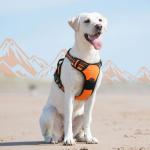Eagloo Large Dog No-Pull Harness with Handle