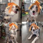 Set of 2 Squeaky Dog Toys - Octopus Design